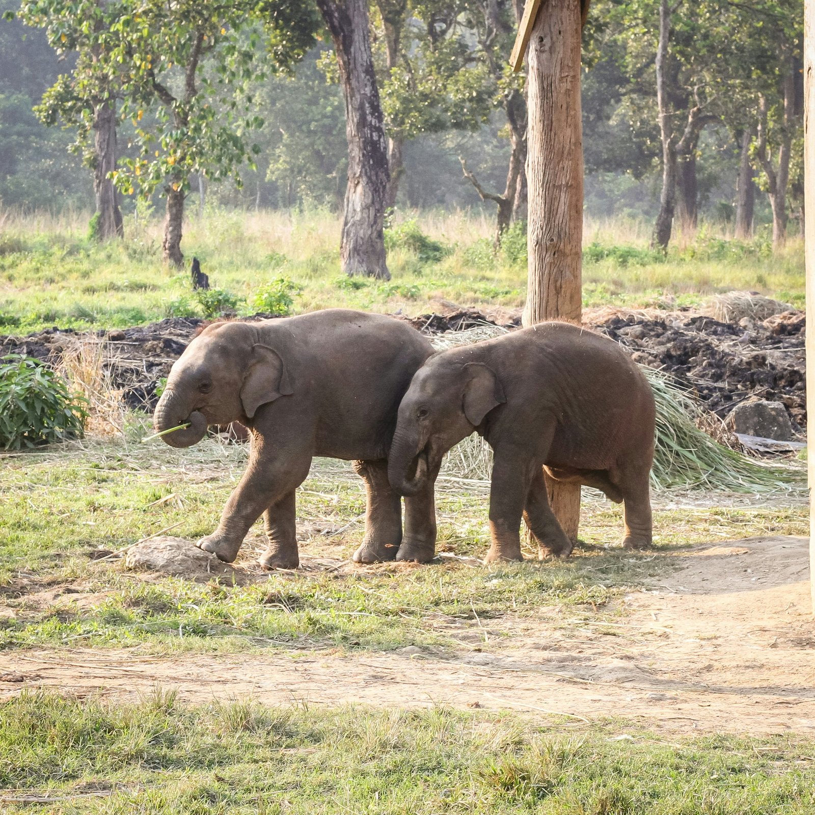 Jeep safari and river views in Chitwan National Park