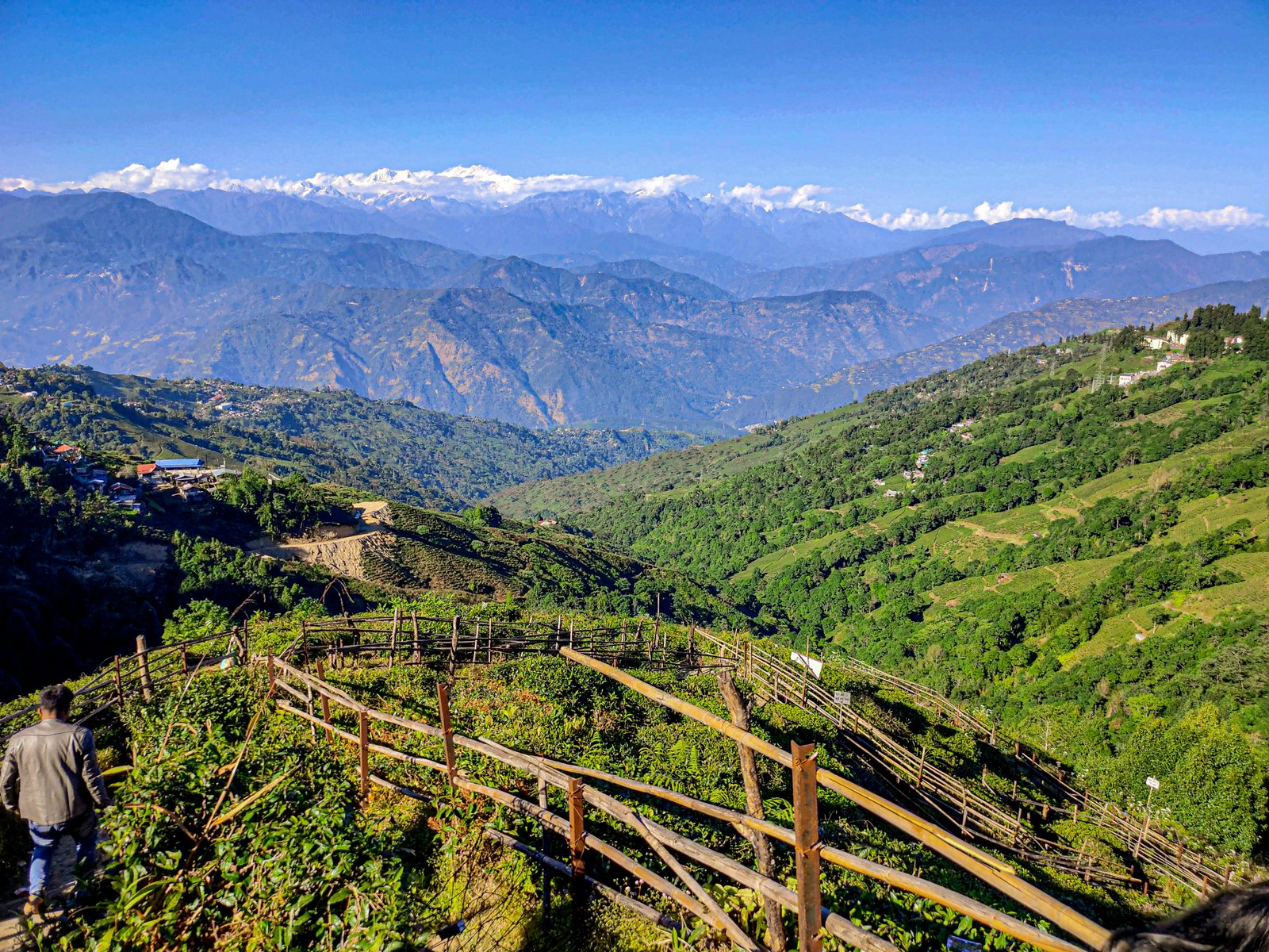 Beautiful view of Darjeeling Tea Gardens