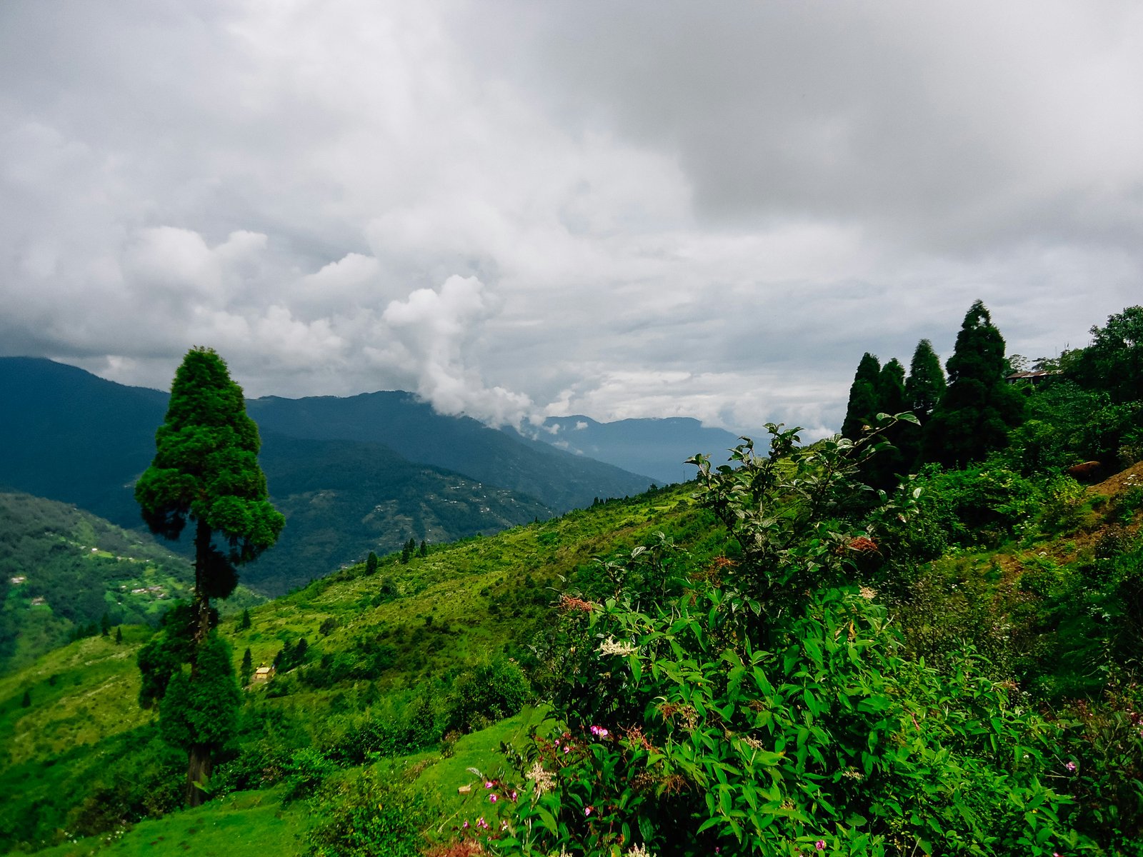 Darjeeling Offbeat Tour Package