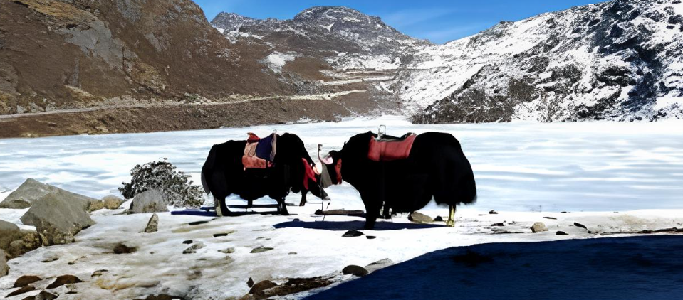 Gangtok Tour Package for 3 Days