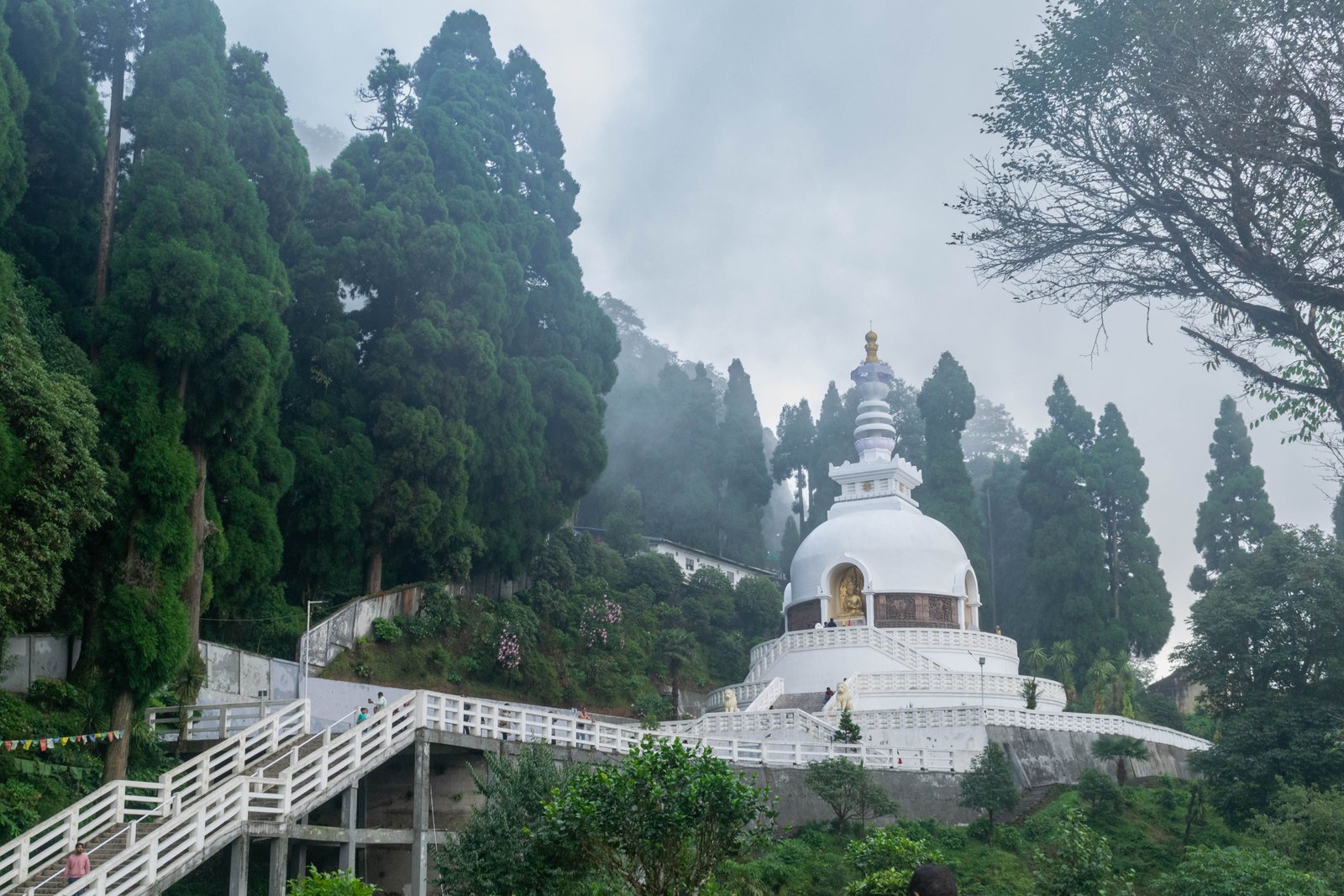 Darjeeling 2 Days Tour Cost