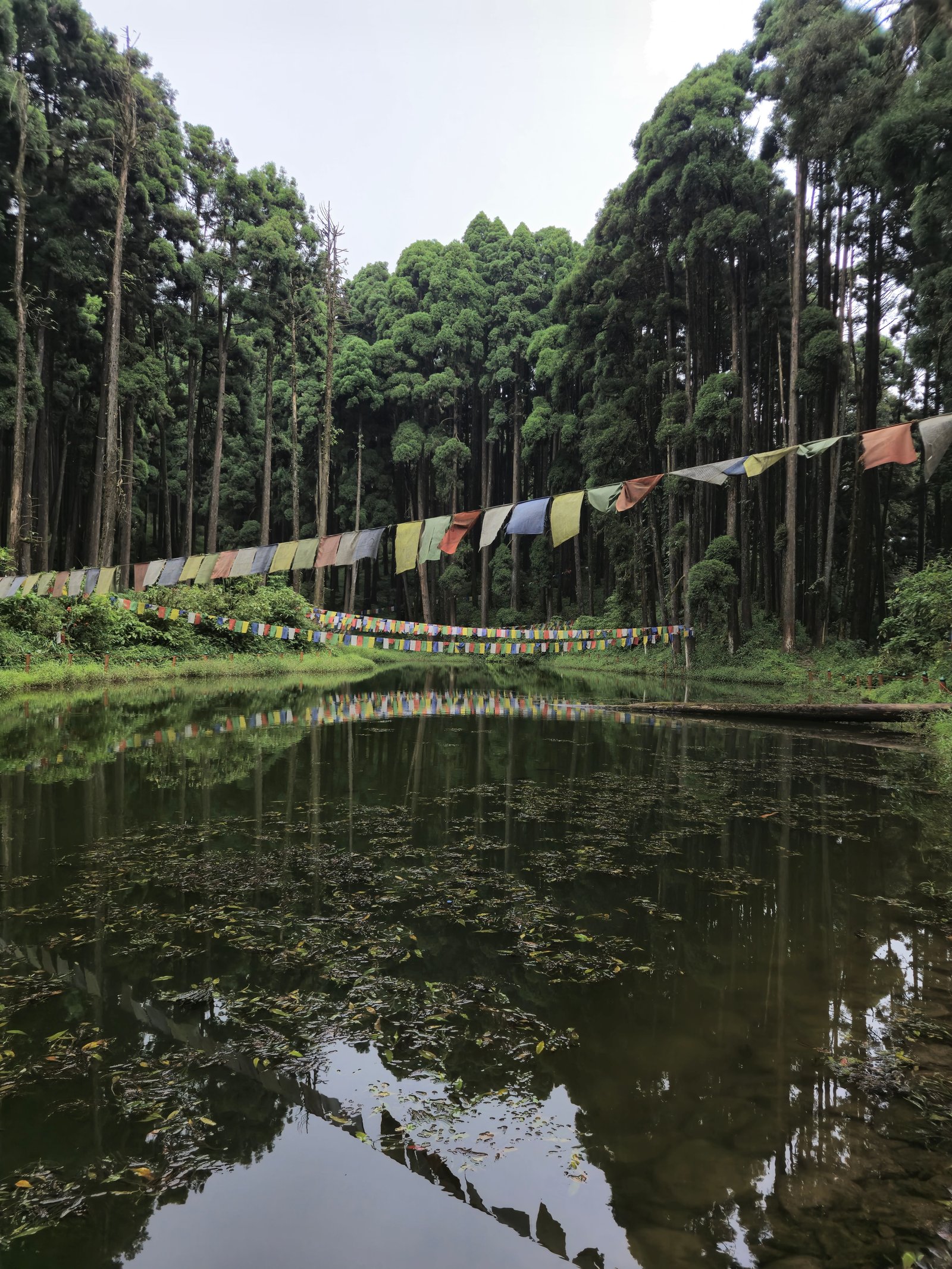 Darjeeling Offbeat Lamahatta Tour Package