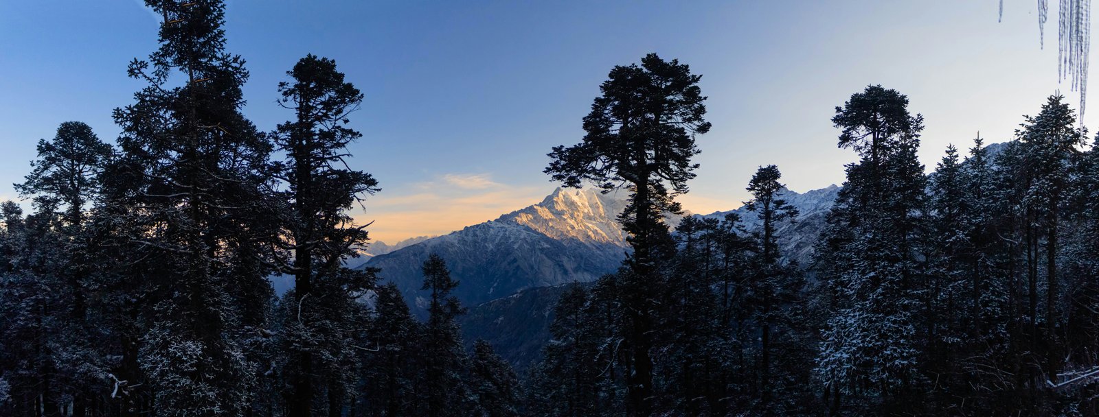 Langtang National Park mountains
