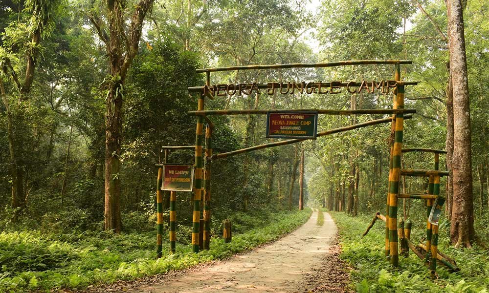 Gorumara Jeep Safari Dooars