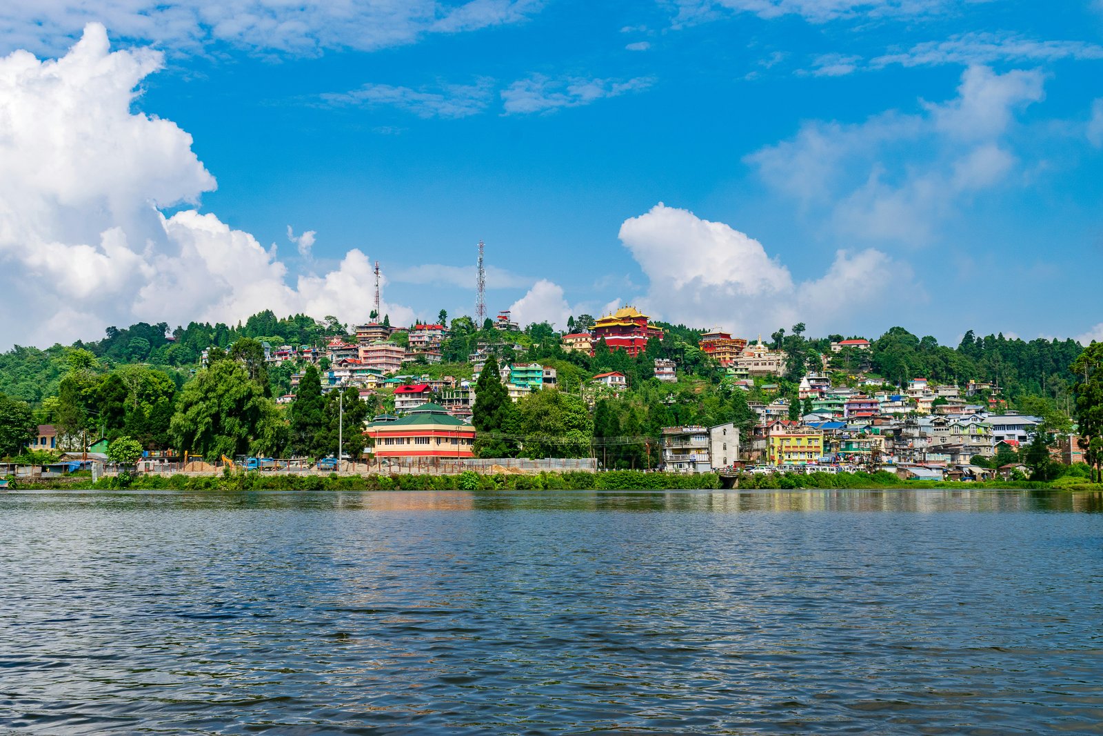 Pine forests and gardens around Mirik Lake