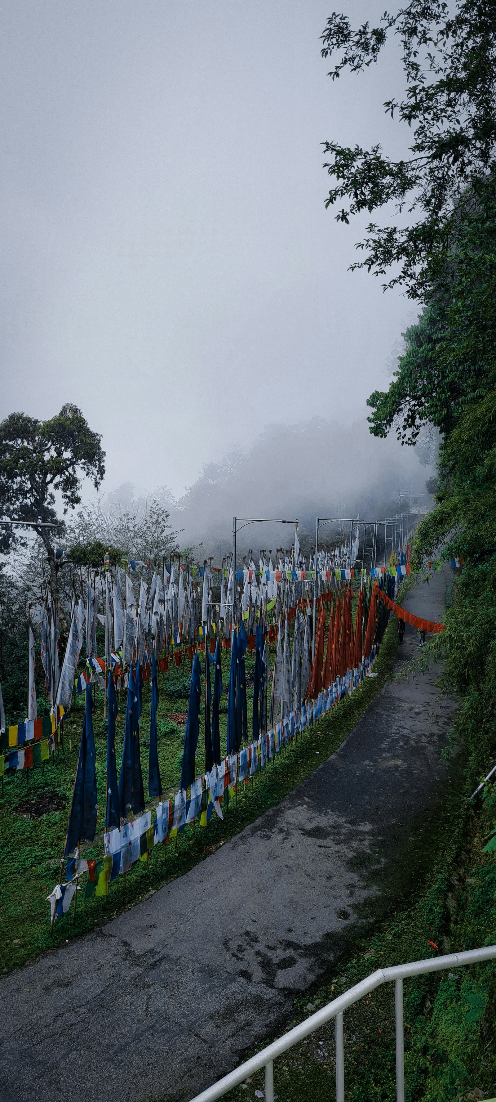 Scenic roads leading to Namchi