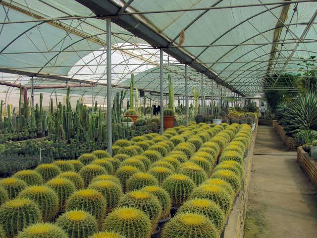 Kalimpong Tour Package for Couple