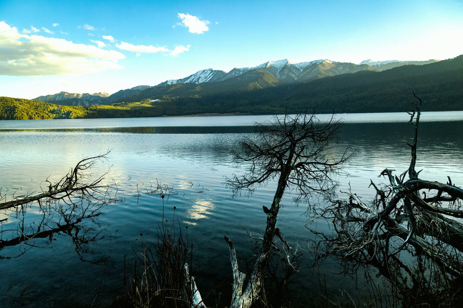 Trekking trail around Rara National Park Mugu Nepal