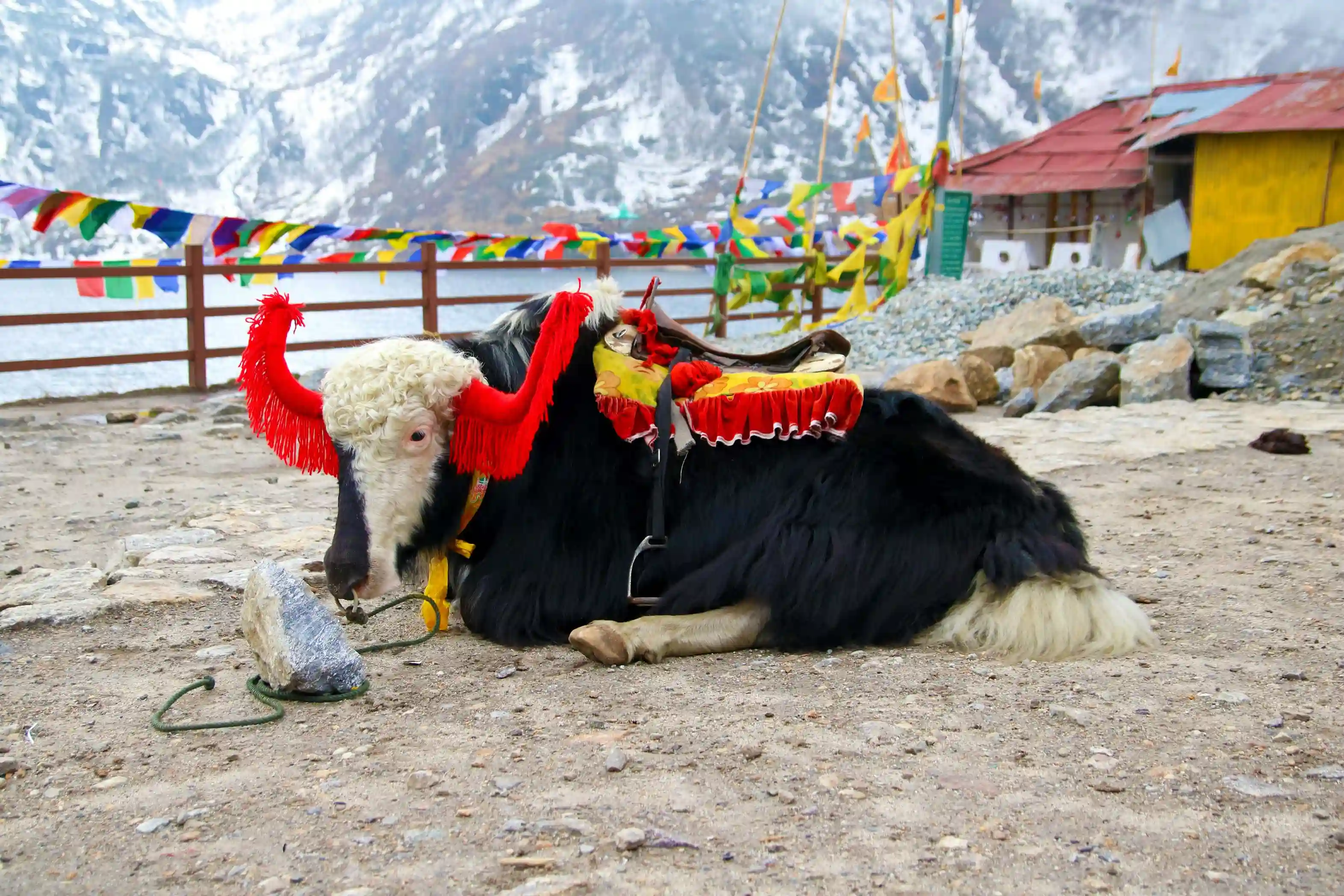 Siliguri to Gangtok Cab - Dzire and Etios Taxi on Teesta Bridge