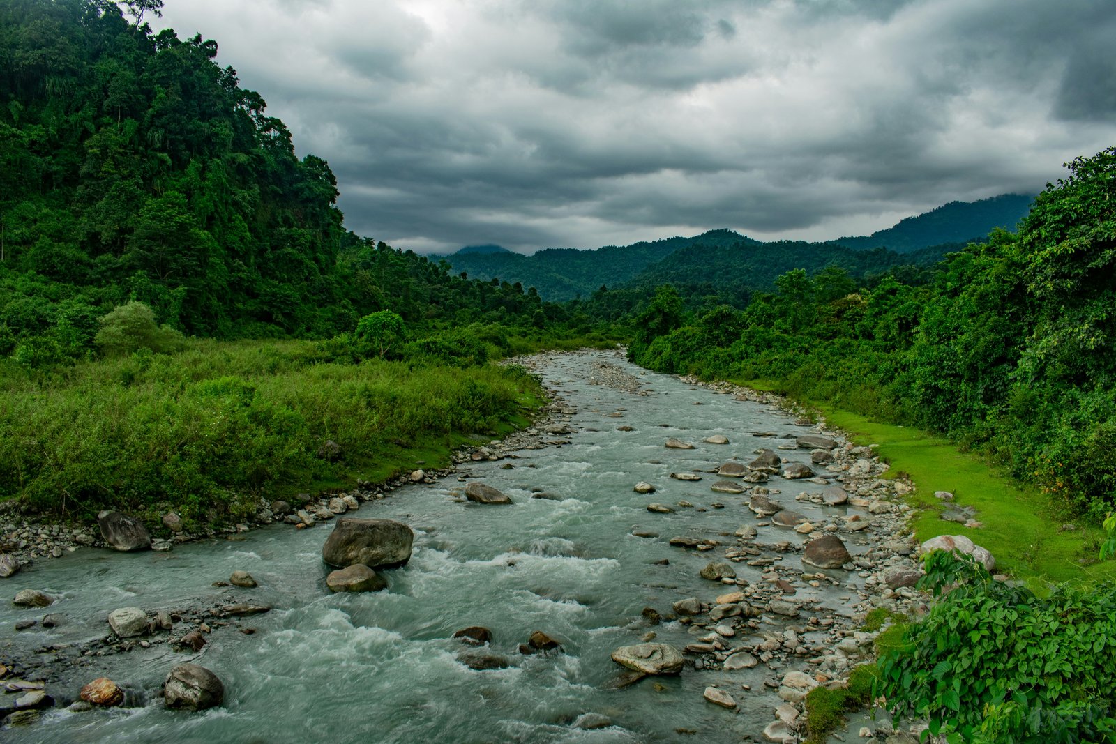 Suntalekhola Hanging Bridge Dooars