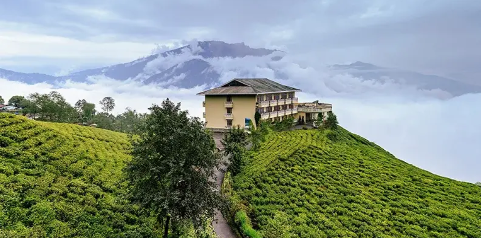 The lush green Temi Tea Garden in South Sikkim, a possible scenic stopover on the way to Pelling