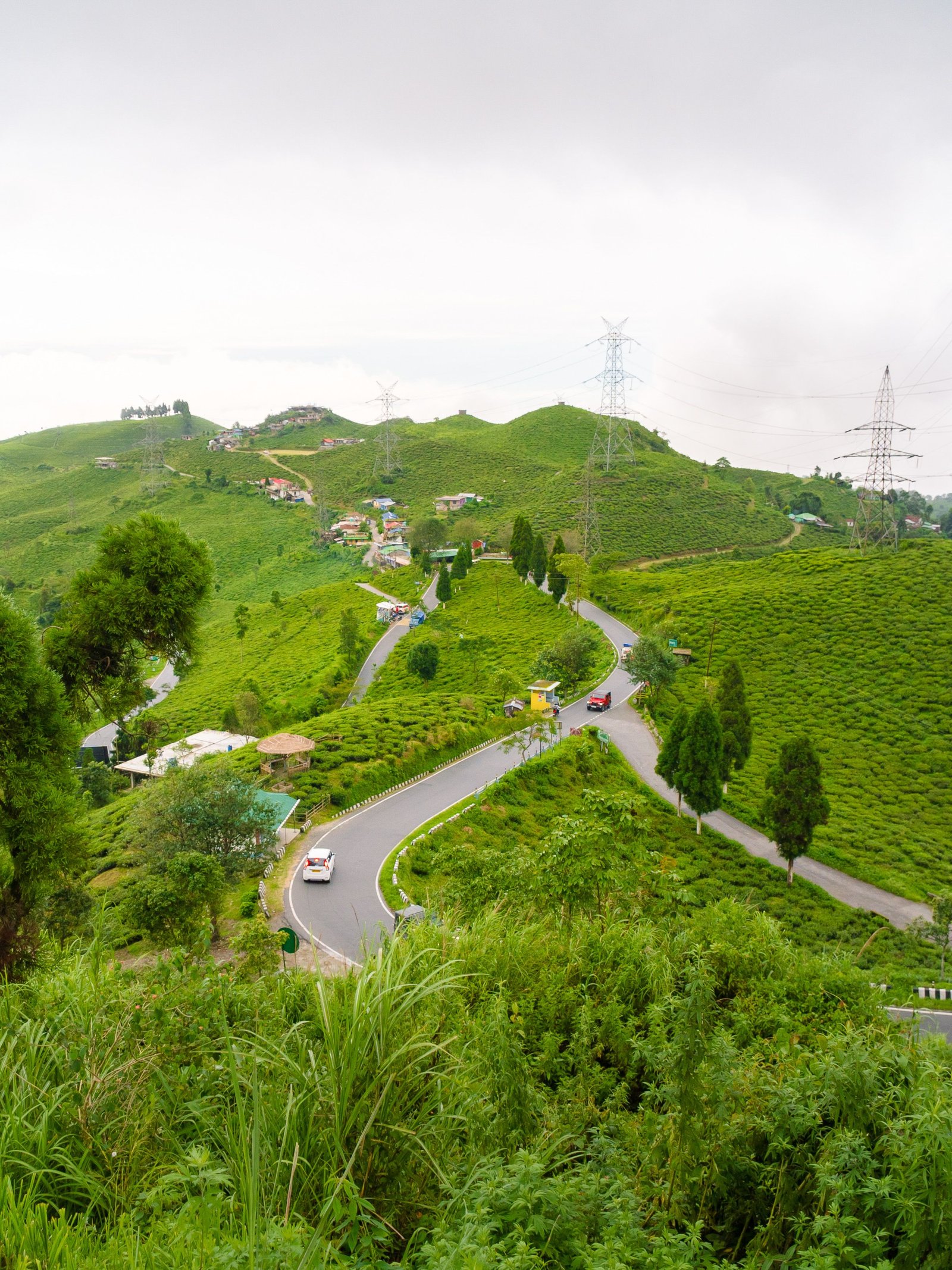 Darjeeling 2 Days Tour Cost