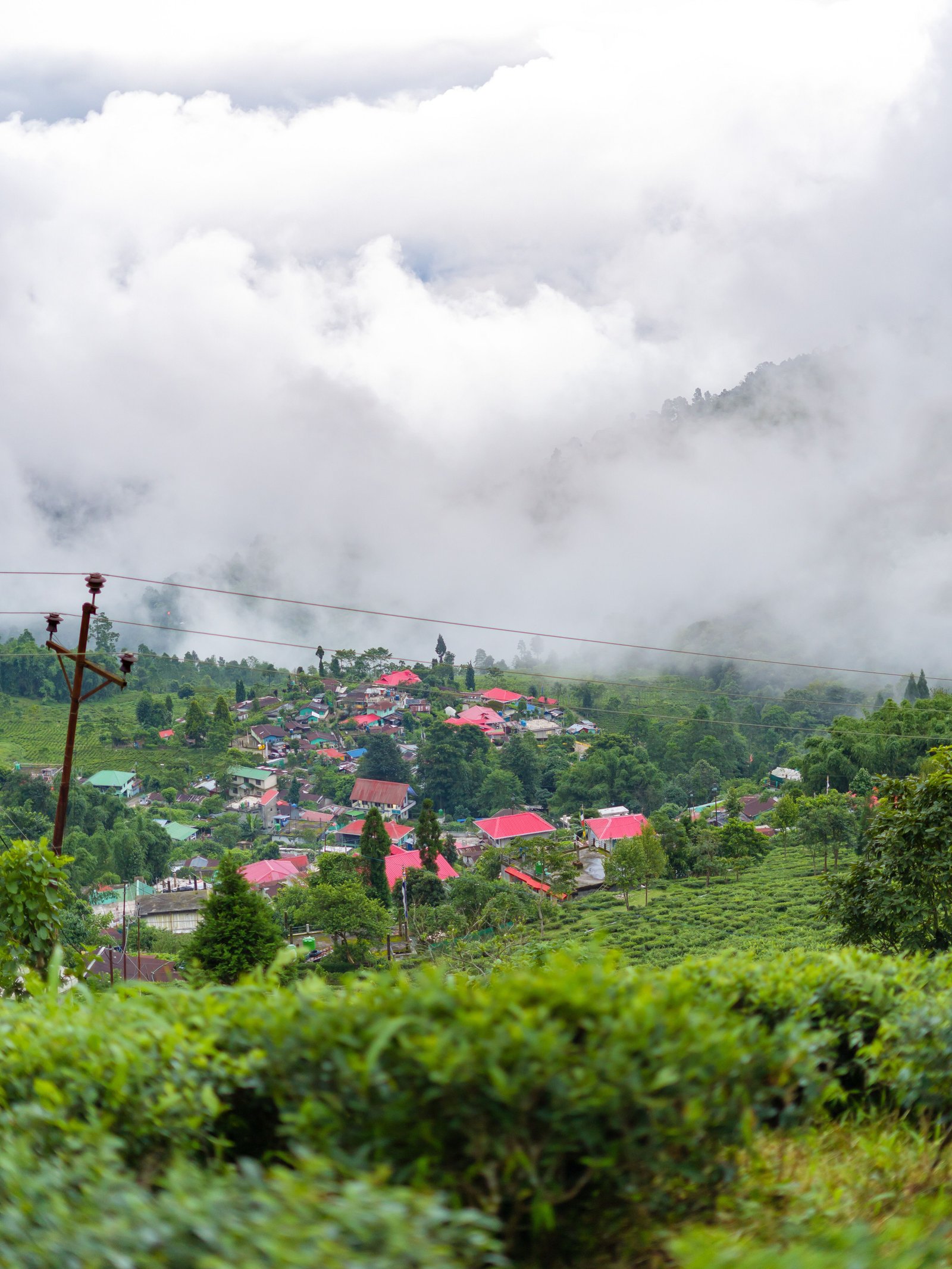 4 Nights 5 Days Darjeeling Tour Package