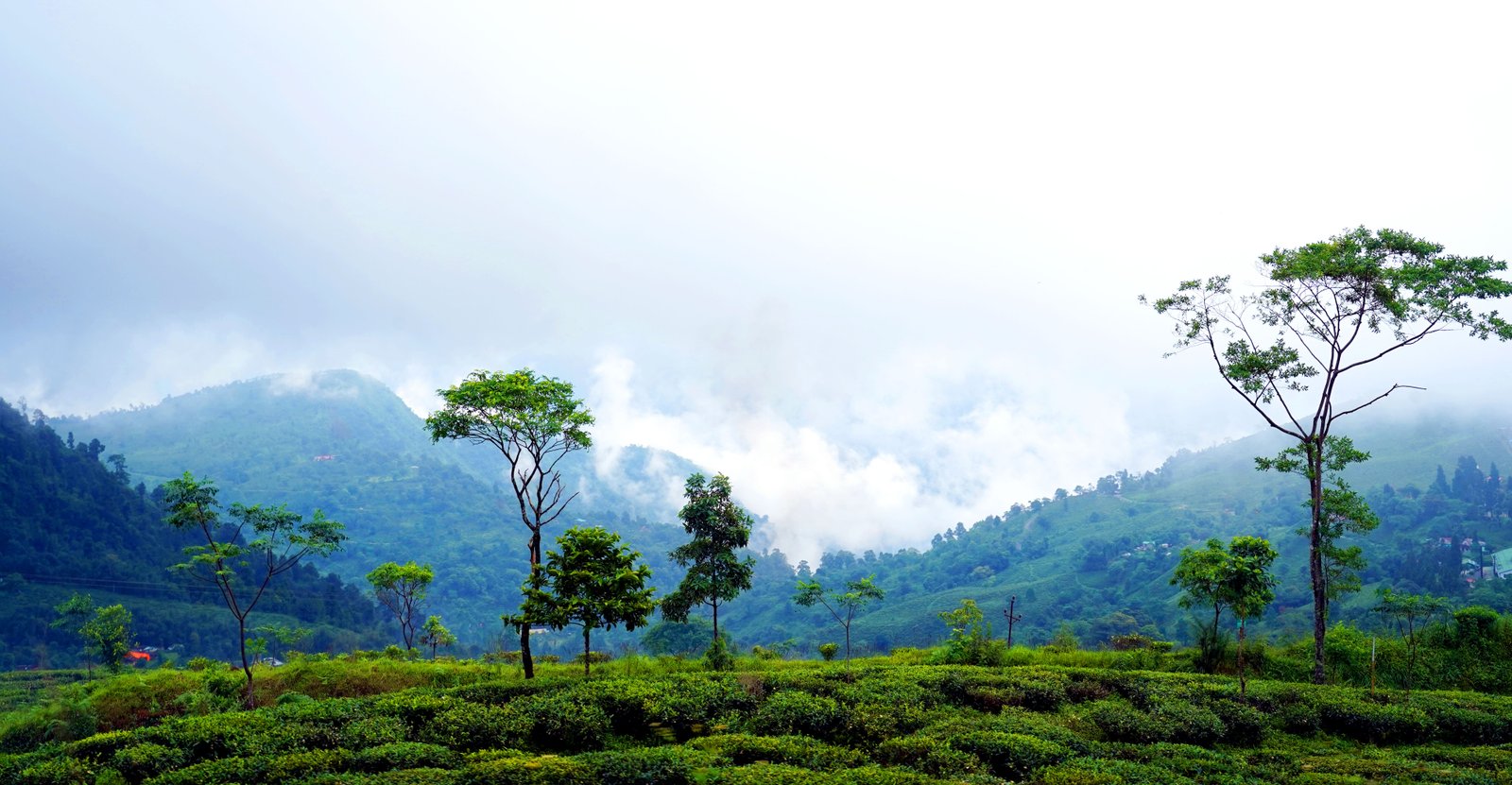 4 Nights 5 Days Darjeeling Taxi Package