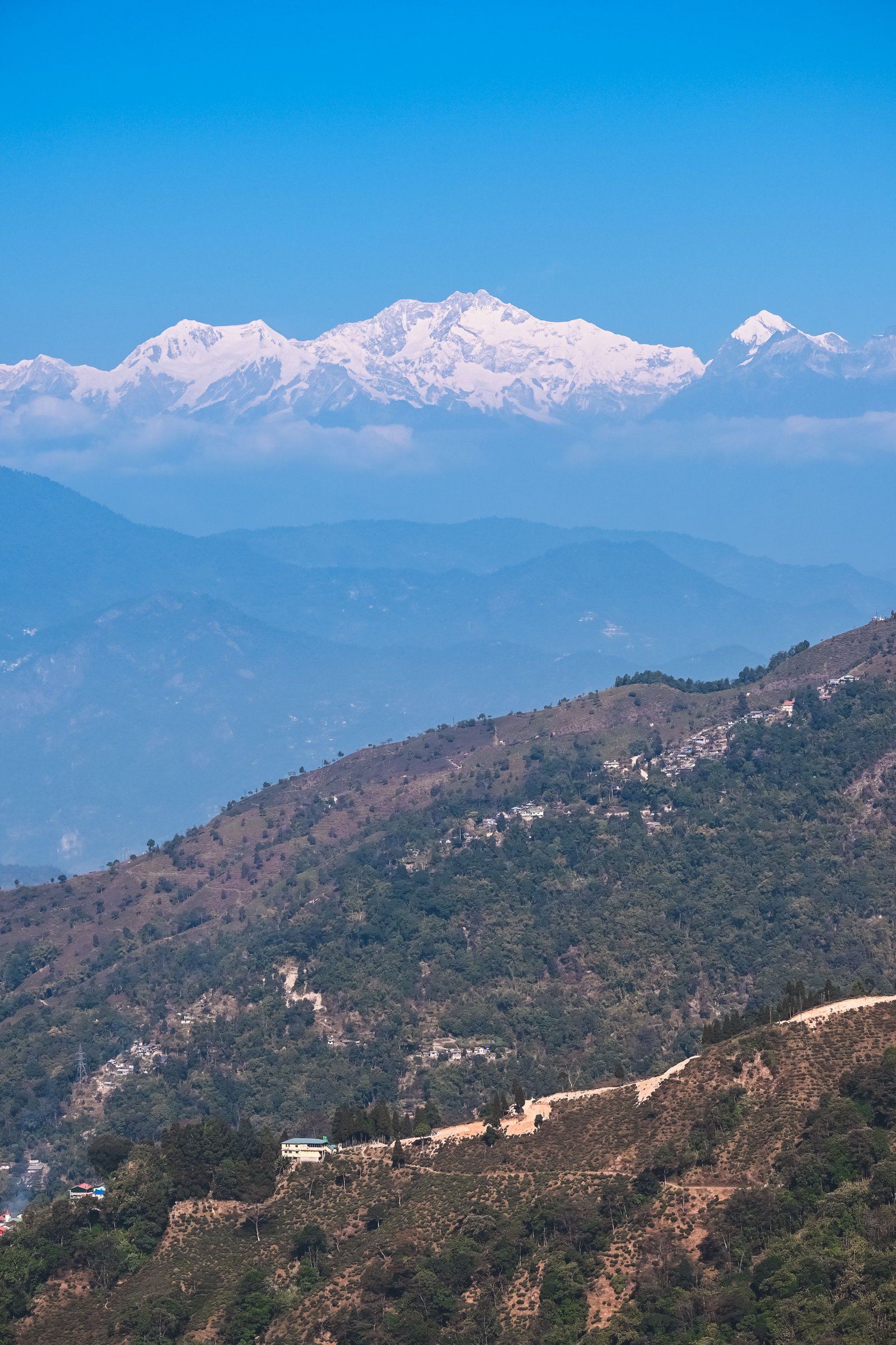 Darjeeling Gangtok Pelling Kalimpong Tour Packages