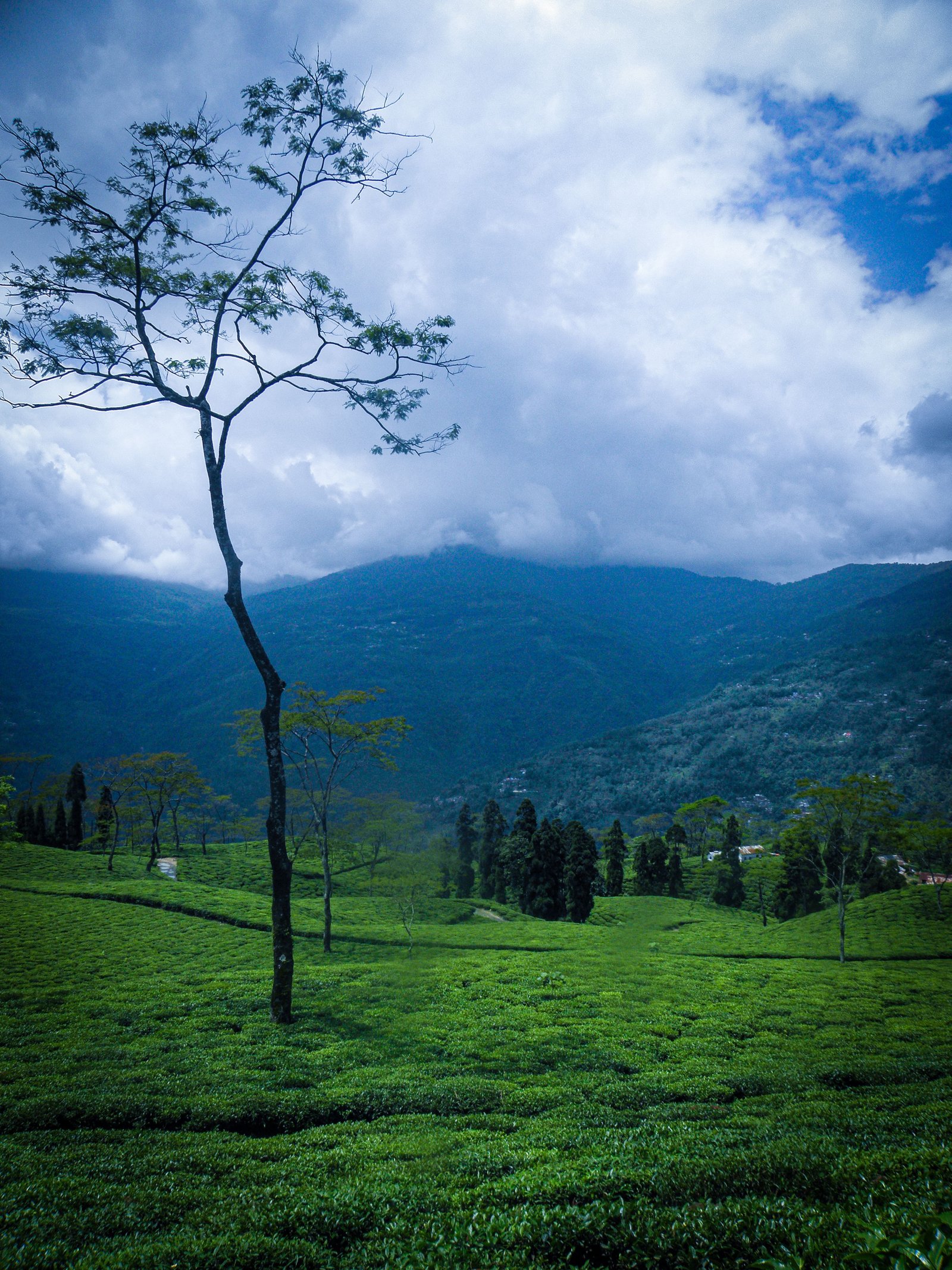 4 Nights 5 Days Darjeeling Tour Package
