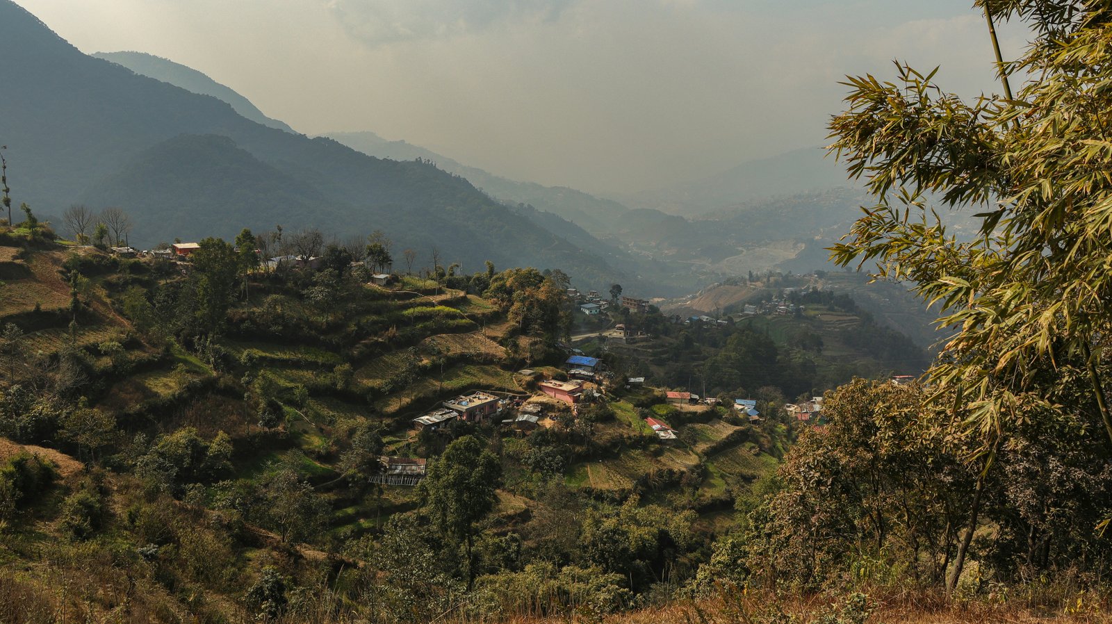 Kalimpong Lava Lolegaon Rishop Tour Package