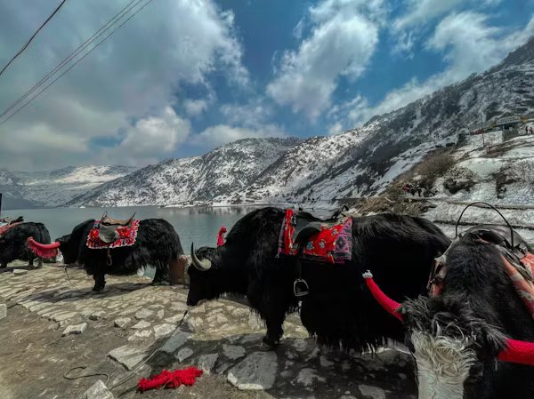 Complete Sikkim Taxi Tour Package