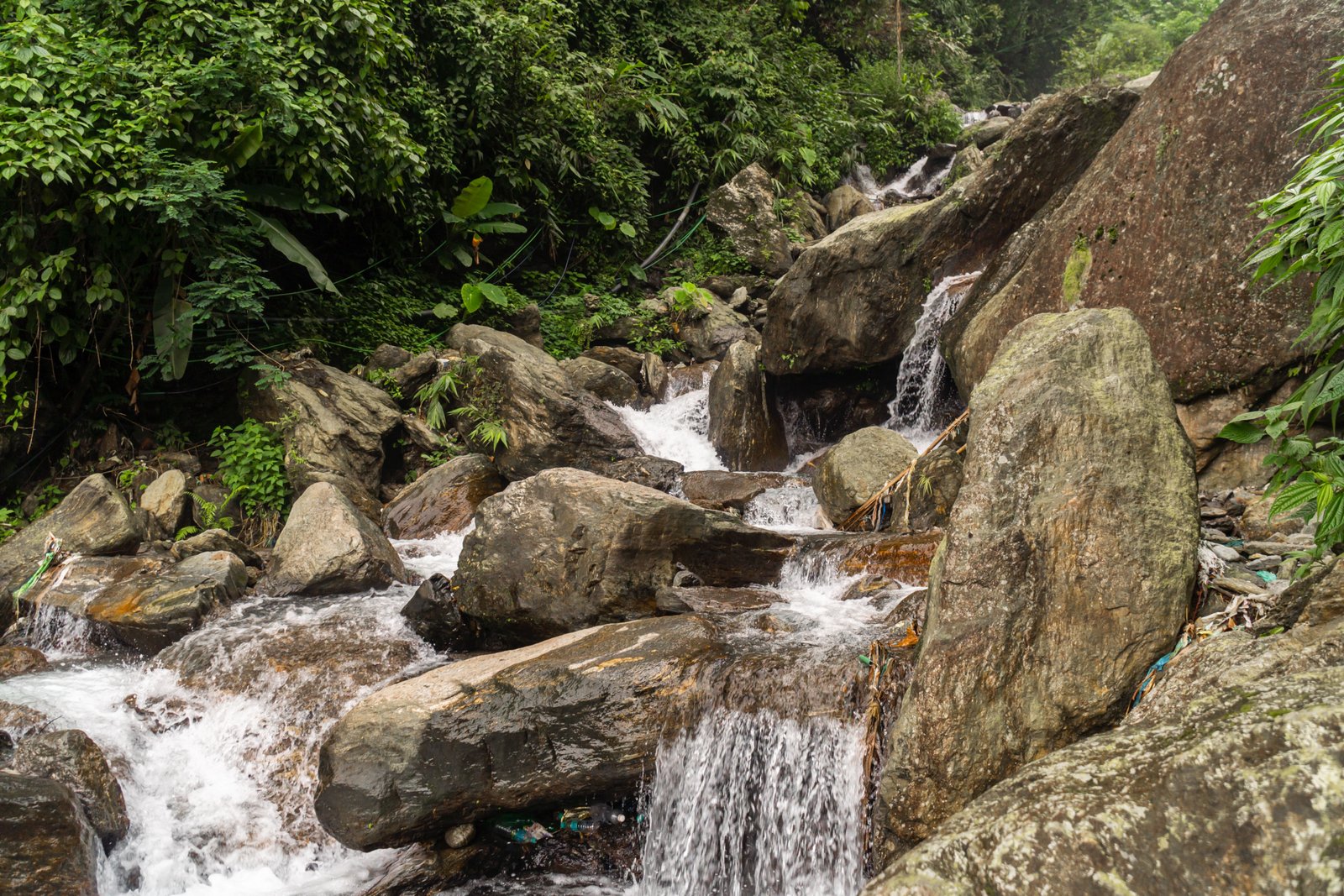 4 Nights 5 Days Darjeeling Tour Package